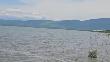 Chapala Gölü 'nün geniş bir manzarası var. Dalgalar kayalık kıyıya vuruyor. Dağlar ufuk boyunca uzanır ve güzel bir doğal manzara sunar..