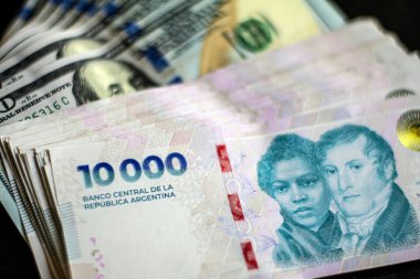 Nakit. 10,000 Arjantin pesosu ve dolar banknotları. Arjantin parası. Maksimum değer banknotu. Yeni tasarım 2024.