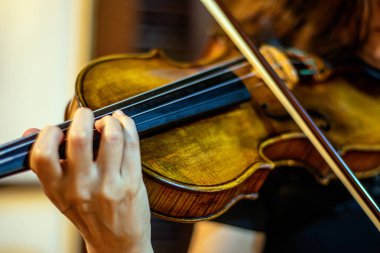 Çello. Violonchelo. Ön planda çello çalan kadın. Arjantin tangosu. Çello Listesi.