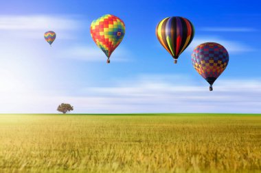 Travel destination to nature places by hot-air baloons. Travel is the movement of people between distant geographical locations. It may be local, regional, national (domestic) or international.