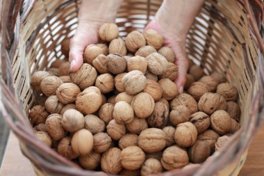 View of shelled walnuts of background. A walnut is the edible seed of a drupe, and thus not a true botanical nut. It is commonly consumed as a nut.
