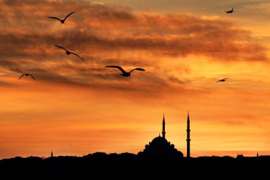 Sunset over Istanbul with silhouette of mosque and seagulls in Turkey.