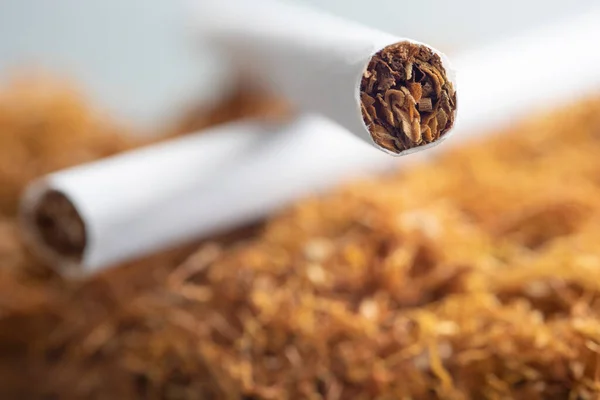 Tobacco Pipe Cigarette — Stock Photo, Image
