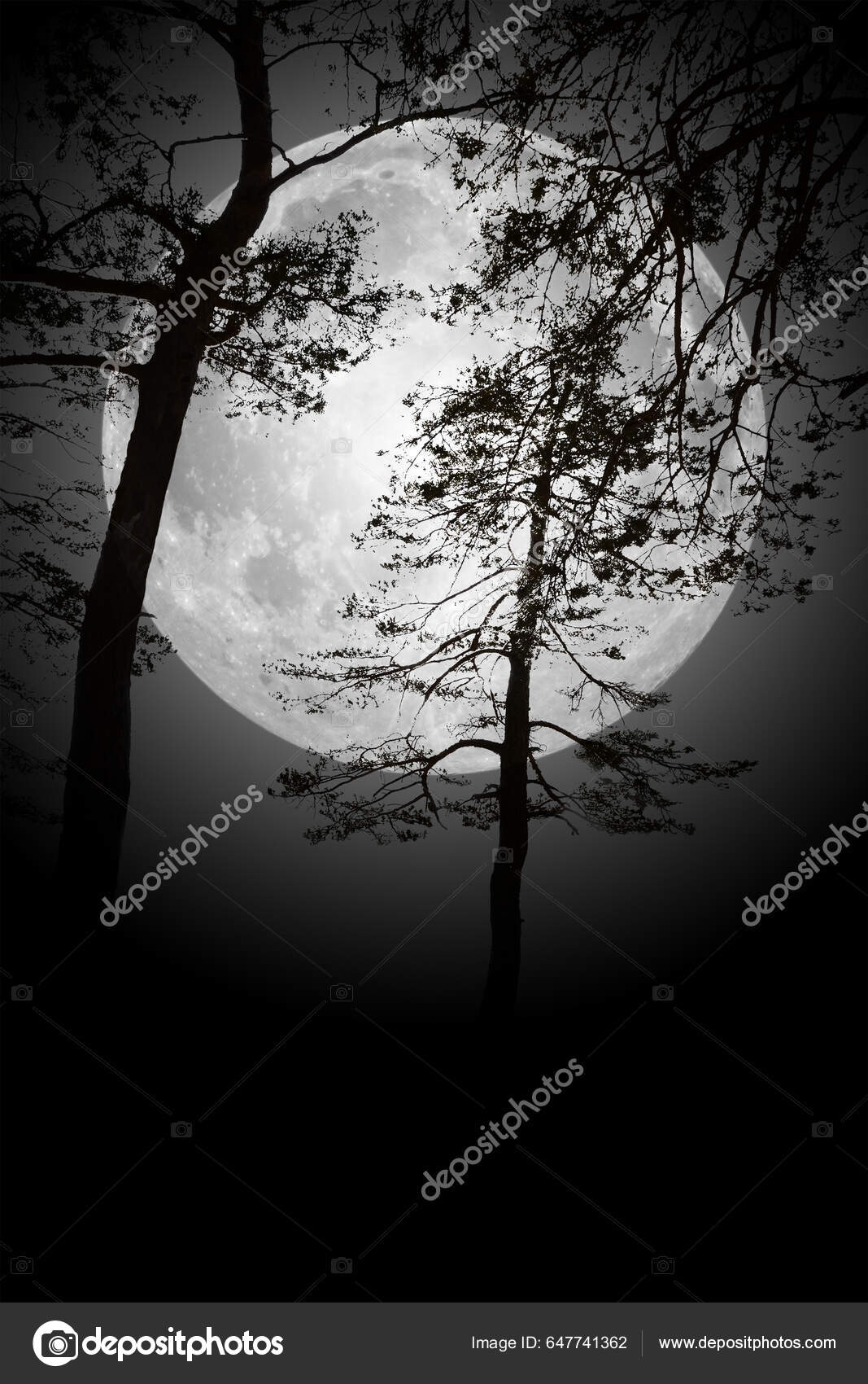 Earth Moon Trees Ecological Environment Beautiful Night Landscape Tree Black  — Stock Photo © Funtay #647741362, image size:1067x1700