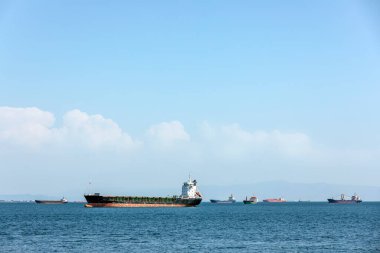 Körfez, Kartal ilçesi, İstanbul ve Türkiye 'ye demirlemiş çok sayıda kargo gemisi var. Kargo gemisi ya da yük gemisi, bir limandan diğerine kargo, mal ve malzeme taşıyan bir ticaret gemisidir..