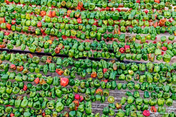 View of the vegetable drying with sun (green and red peppers, hot or not) in Gaziantep province, Turkey. It can be dried in many ways and store well. Removing moisture from the peppers will magnify and intensify the heat, flavor, and natural sugars i
