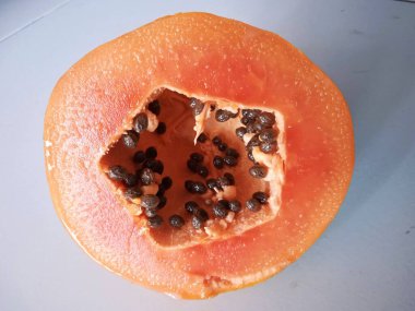 Kesilen ağaç gövdeleri yeni filizler açar.