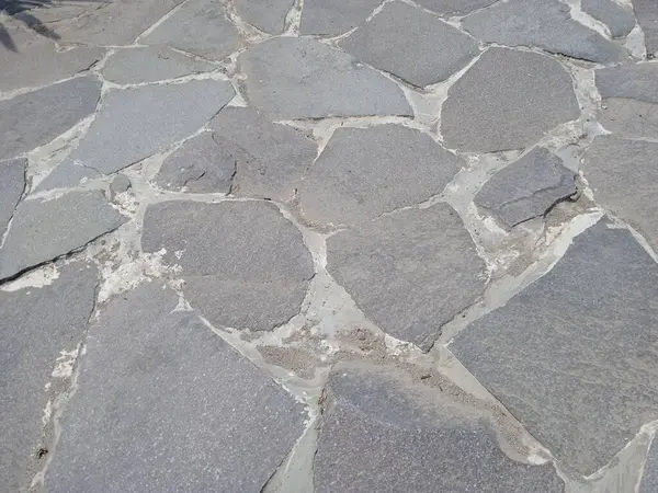 Kesilen ağaç gövdeleri yeni filizler açar.