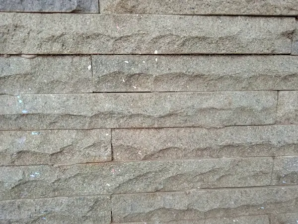 Kesilen ağaç gövdeleri yeni filizler açar.