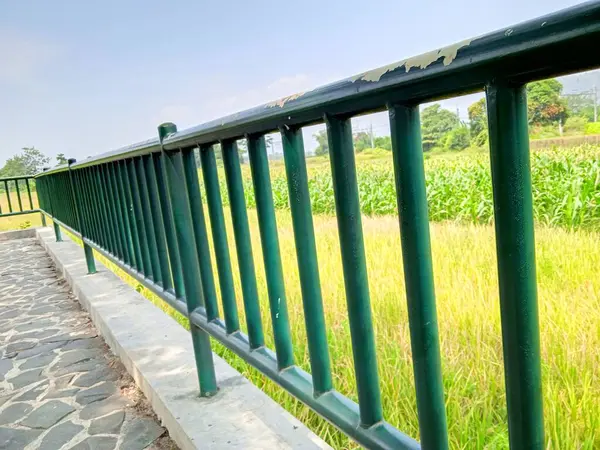 Kesilen ağaç gövdeleri yeni filizler açar.