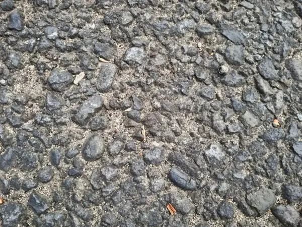 Kesilen ağaç gövdeleri yeni filizler açar.