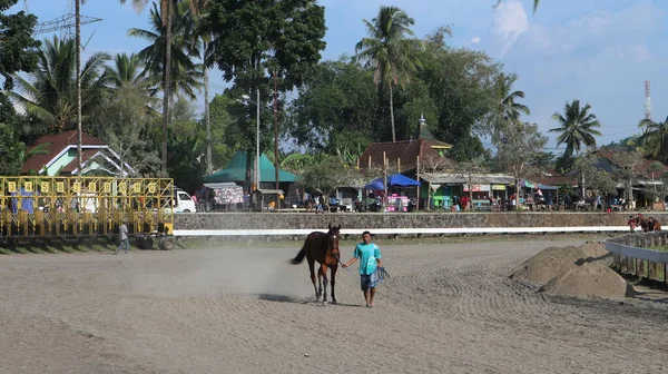 白天在赛马场上训练马匹的人 — 图库照片