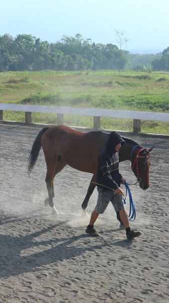 Alguém Que Treina Cavalos Pista Corridas Durante Dia — Fotografia de Stock