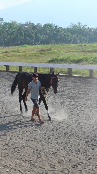 日中競馬場で馬を訓練する人 — ストック写真