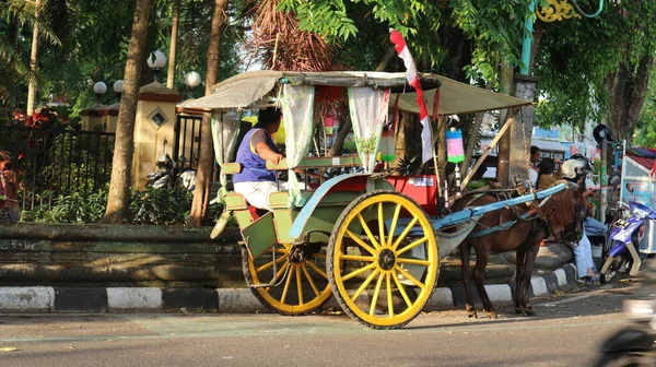 萨拉蒂加 2022年9月18日 一名德尔曼司机在城市路边等乘客 在印度尼西亚 Delman是一种传统的两轮运输车 使用马力 — 图库照片