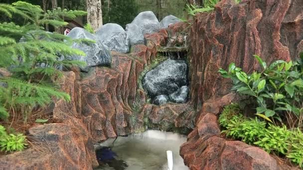 噴水と石の銀行が付いている美しい小さな庭の池 エバーグリーン春の風景庭園 — ストック動画
