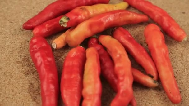 Czerwona Papryka Chili Białe Tło Cabai Merah Cabai Setan Cabai — Wideo stockowe
