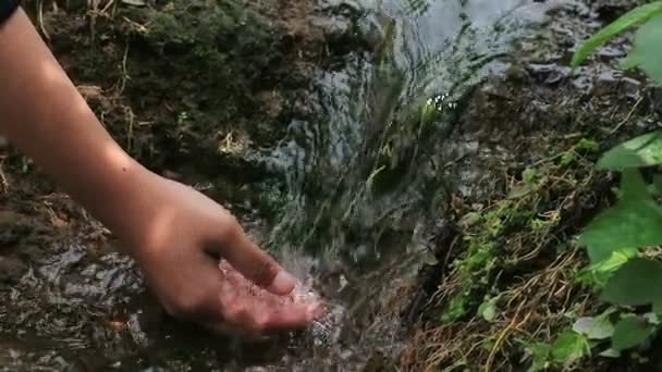 Hand Touching Water Forest River Lake People Travel Enjoying Nature — Stock Video