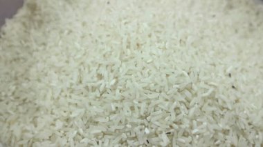 Pirinç tanelerinin ortasında hareket eden büyük bir pirinç buğday bitinin yakın plan çekimi. Tahtakuruları, haşereler, böcekler, çiğ pirinci mahveden böcekler. Böcekler