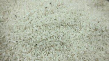 Pirinç tanelerinin ortasında hareket eden büyük bir pirinç buğday bitinin yakın plan çekimi. Tahtakuruları, haşereler, böcekler, çiğ pirinci mahveden böcekler. Böcekler