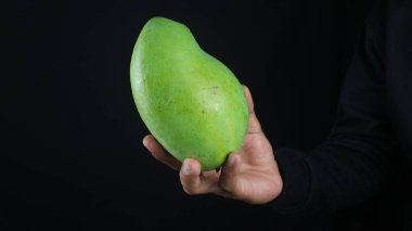 Erkekler siyah arka planda taze yeşil mango gösteriyor..