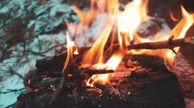 Ormanda şenlik ateşi