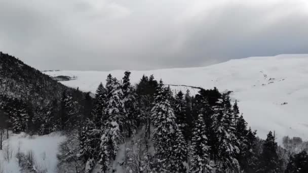 Sneeuw Besneeuwde Bergen Winter — Stockvideo