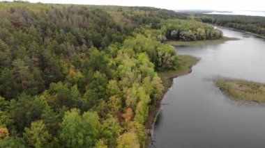 Ormandaki güzel bir nehir manzarası.