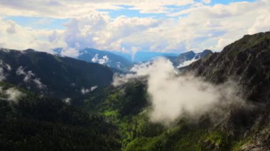 Ormanı olan güzel bir dağ manzarası