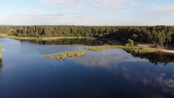 Vue aérienne de la forêt au printemps.