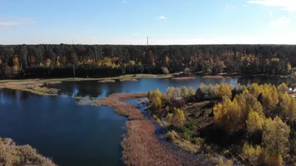 paysage automnal avec rivière et forêt 