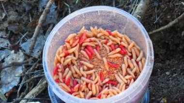 Ormanda kırmızı ve beyaz biber