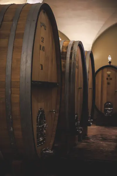 Şaraphanede fıçılar dolusu şarap..