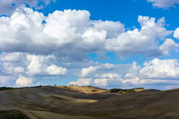 Yazın deniz aygırı manzarası