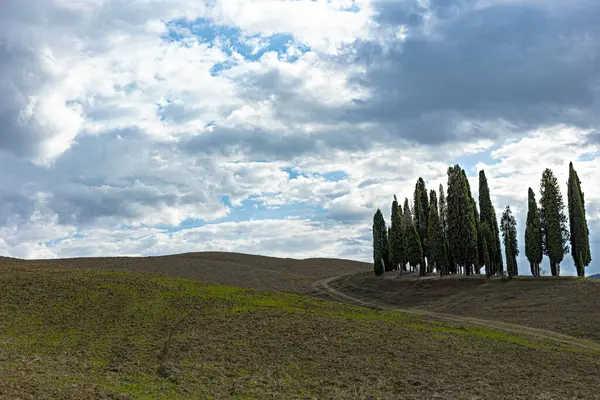 Dağların güzel manzarası