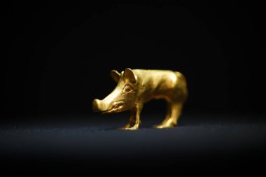 KYIV, UKRAINE - Ulusal Tarih Müzesi Hazinesi 'nde' Scythian Gold 'koleksiyonunun 28 Kasım 2023 Sergisi