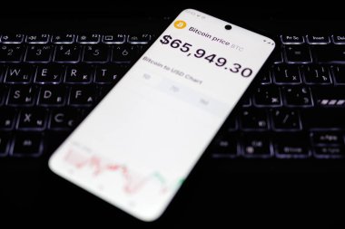 Kherson Reg, Ukrayna 27 Eylül 2024 'te Bitcoin BTC' nin USDT 'ye (ABD dolarına sabitlenmiş kripto para kaynağı) olan fiyatının grafiklerin arka planında arttığını gösteriyor 