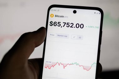 Kherson Reg, Ukrayna 27 Eylül 2024 'te Bitcoin BTC' nin USDT 'ye (ABD dolarına sabitlenmiş kripto para kaynağı) olan fiyatının grafiklerin arka planında arttığını gösteriyor 