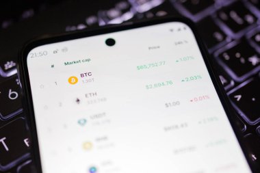 Kherson Reg, Ukrayna 27 Eylül 2024 'te Bitcoin BTC' nin USDT 'ye (ABD dolarına sabitlenmiş kripto para kaynağı) olan fiyatının grafiklerin arka planında arttığını gösteriyor 