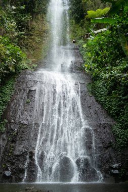 Majestic waterfall cascading over dark rocks in a lush tropical forest. The flowing water, green vegetation, and misty air create a serene and refreshing natural landscape.