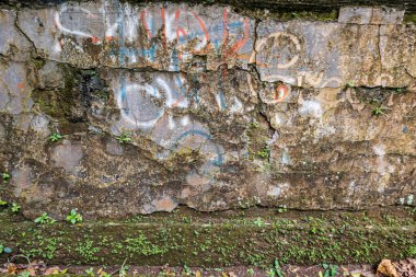 Weathered concrete wall with visible cracks, faded graffiti, and patches of moss and plants growing on the surface.