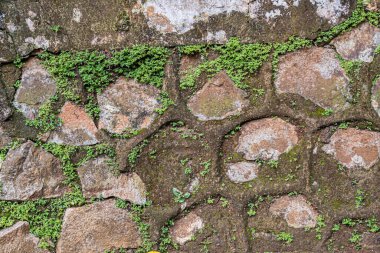 Aged stone wall with natural moss growing between the rocks, adding a touch of green to the rustic surface.