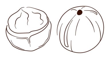 Sanat tarzında Macadamia fındık ikonu. Tasarım, menü, paket ve uygulamalar için makadamia logosu. Beyaz arkaplanda izole edilmiş vektör illüstrasyonu.