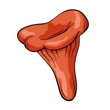 Çizgi film tarzında Niscalo mantarı. El çizimi, Lactarius Deliciosus 'u çiz. Vektör illüstrasyonu beyaz arkaplanda izole edildi.