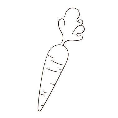 Havuç doğrusal simgesi. Resim vektörü Havuç simgesi beyaz arkaplanda izole edilmiş çizgi sanatı.