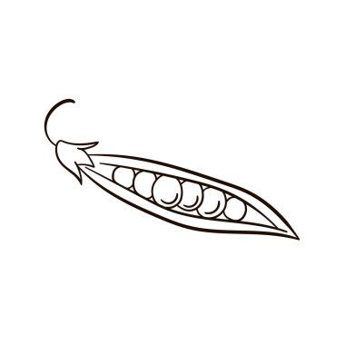 Bezelyeler sanat tarzında. Bezelye simgesinin vektör gösterimi izole edilmiş beyaz arkaplan.