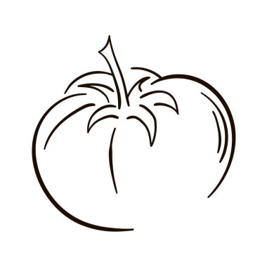 Beyaz arka planda izole edilmiş domates çizgisi sanatı. Sanatta vektör domates.