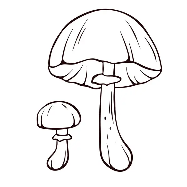 Autumn Skullcap Inedible Mushroom Line Art Style Poisonous Plants Sketch — Stock Vector
