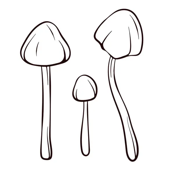 Conocybe Filaris Inedible Mushroom Line Art Style Poisonous Food Sketch — Stock Vector