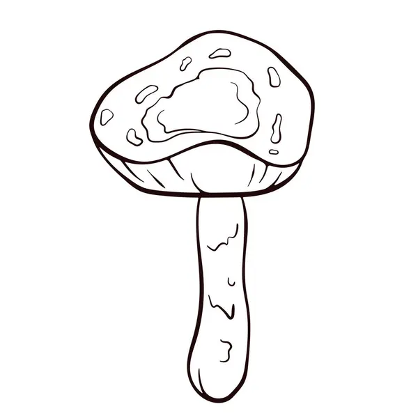 Inedible Mushroom Deadly Dapperling Black White Line Art Style Poisonous — Stock Vector